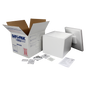 Saf-T-Pak® STP-300 Category A Frozen Insulated Shipping System (Overpack for UN 2900, UN 2814), 4/Case